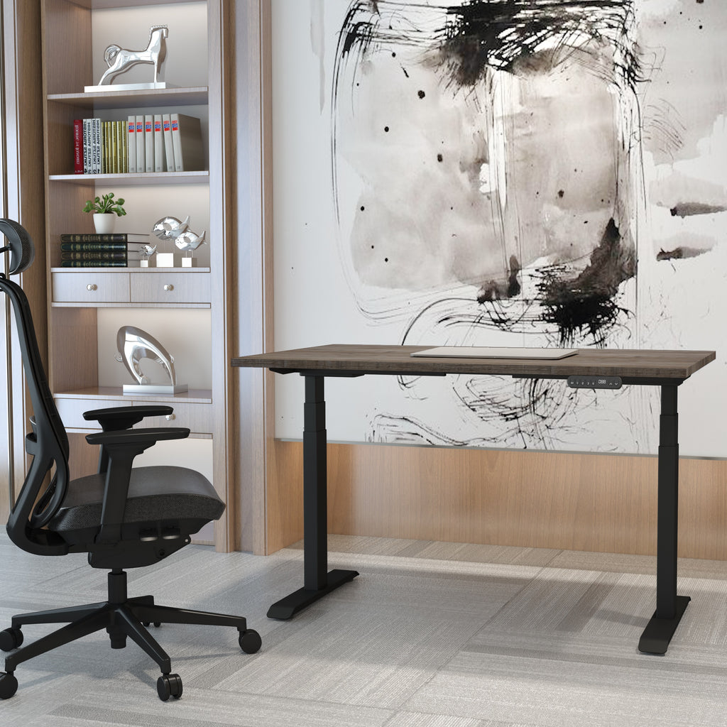 DeskRise Echo Electric Sit-Stand Desk