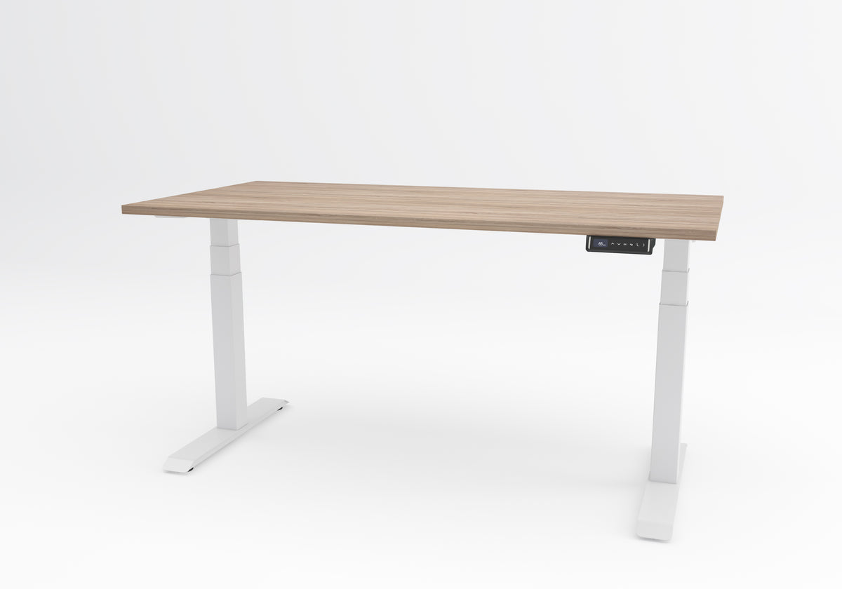 DeskRise Pro Electric Sit-Stand Desk